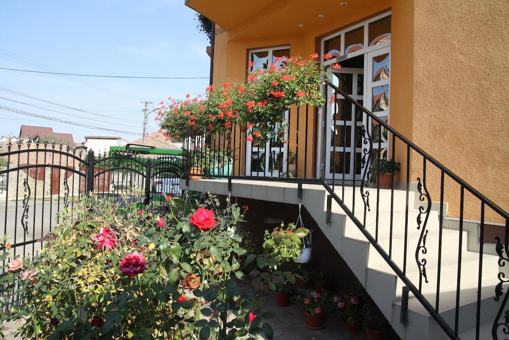 Pensiunea Amso Sibiu Buitenkant foto