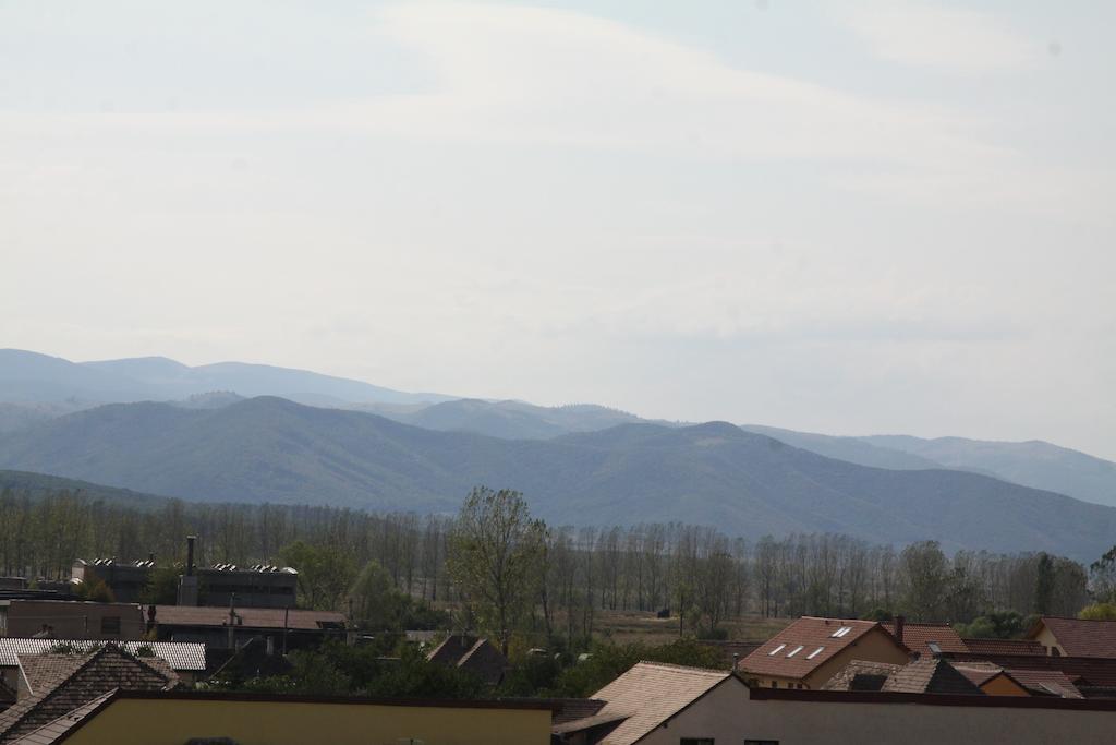 Pensiunea Amso Sibiu Buitenkant foto