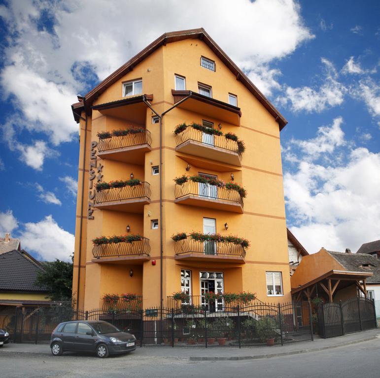 Pensiunea Amso Sibiu Buitenkant foto